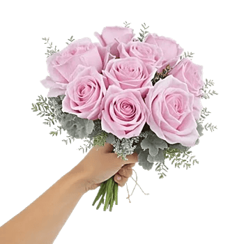 Pastel Pink Roses