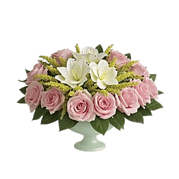 Serenity Orchid Bloom