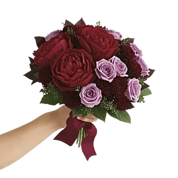 Peony Petal Harmony