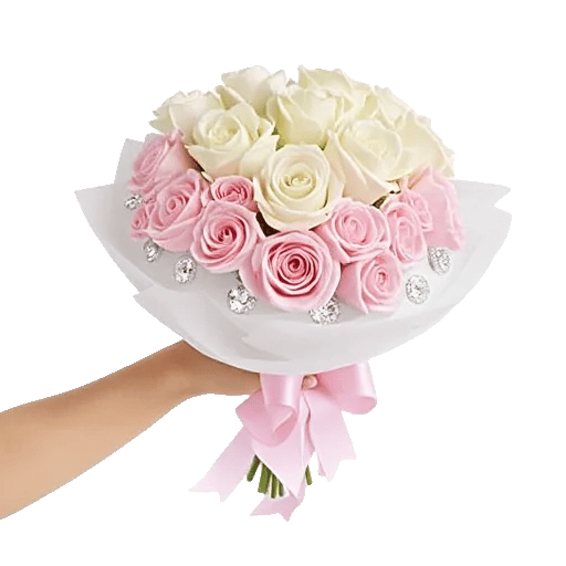 Pastel Pink Roses