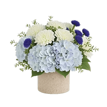 Serene Garden Harmony