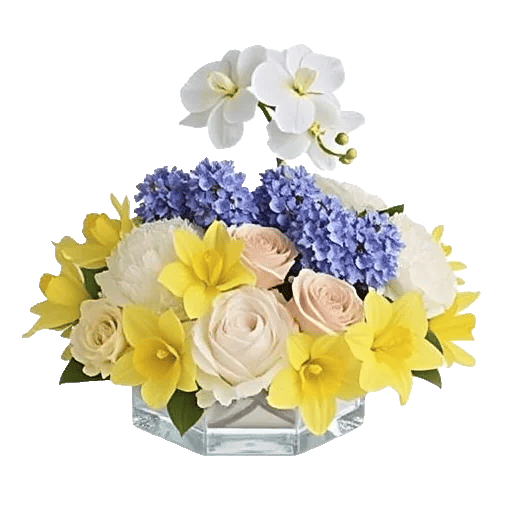 Blossom Petal Serenity