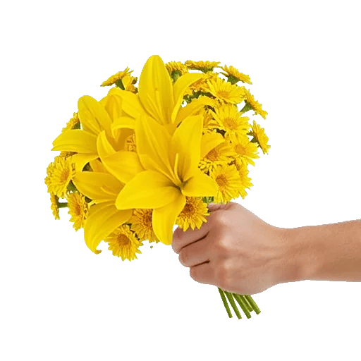 Blossom Harmony Display