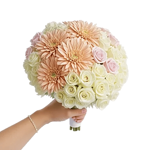 Blushing Rose Symphony