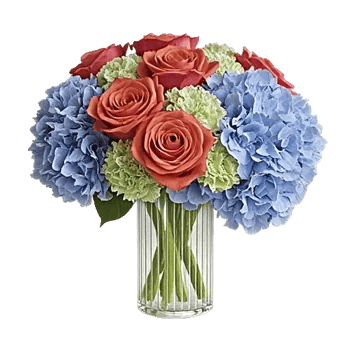 Serene Petal Harmony