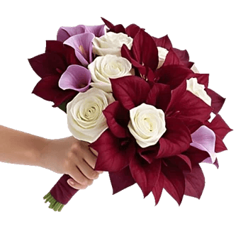 Elegant Calla Lilies