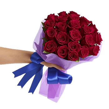 Crimson Rose Elegance