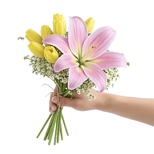 Blossom Harmony Display