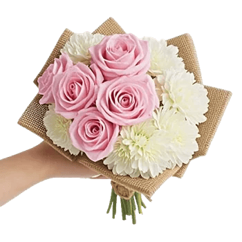 Pink Pastel Roses