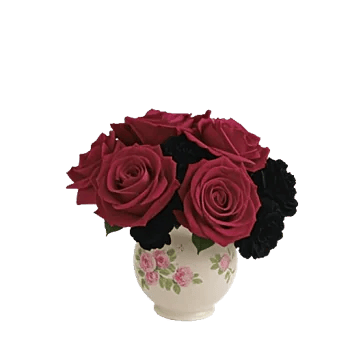 Crimson Rose Elegance