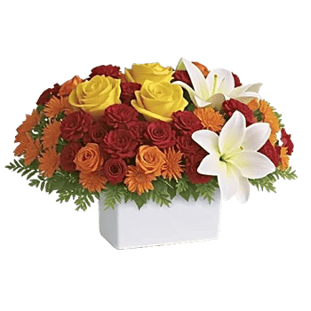 Radiant Rose Symphony