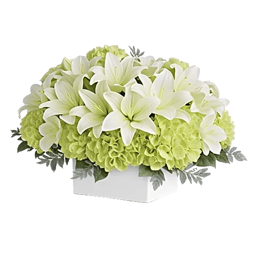 Graceful Lily Display