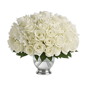 Ivory Blossom Radiance