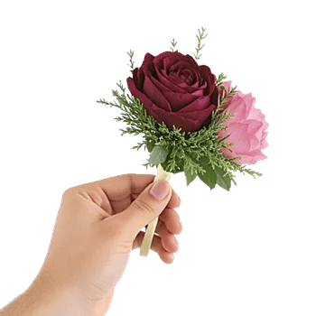 Plum Blossom Radiance