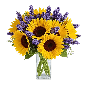 Radiant Bloom Cascade