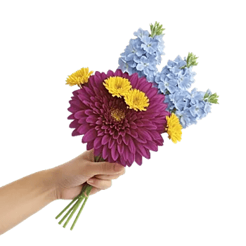 Radiant Bloom Cascade