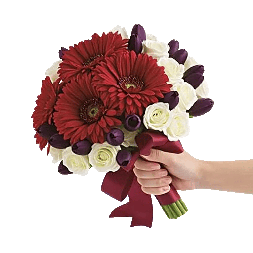 Crimson Rose Elegance