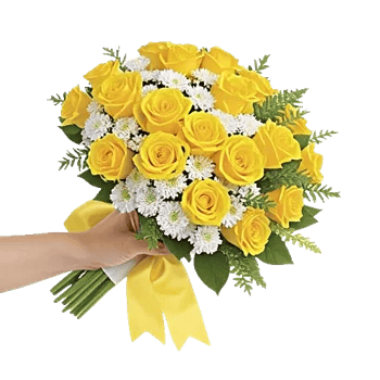 Blossom Harmony Display