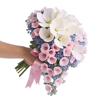 Delicate Petal Cascade