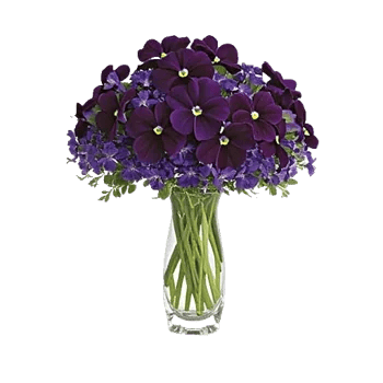 Delicate Petal Cascade