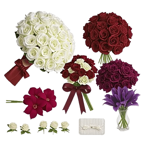 Elegant Calla Lilies