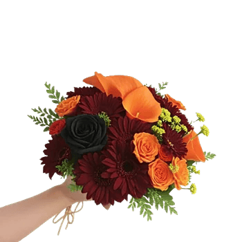 Coral Blossom Harmony