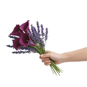 Elegant Calla Lilies