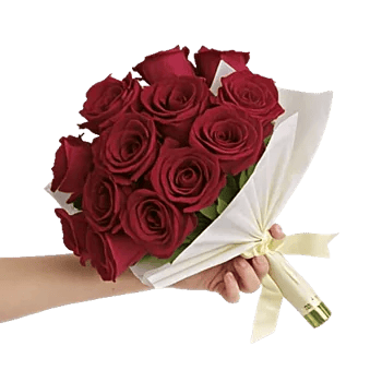 Crimson Rose Elegance