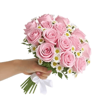 Pink Pastel Roses