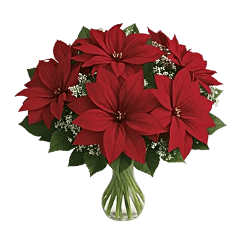 Crimson Blossom Harmony