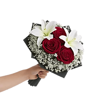 Crimson Rose Elegance