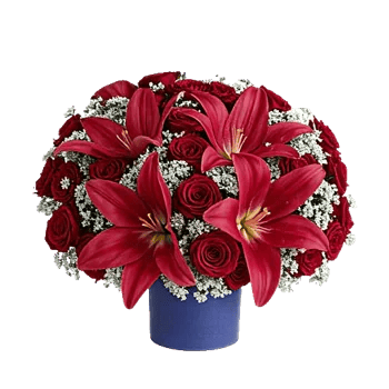 Crimson Lily Glow