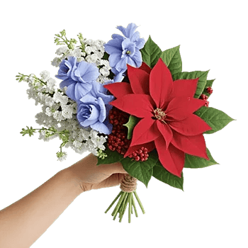 Blossom Harmony Display