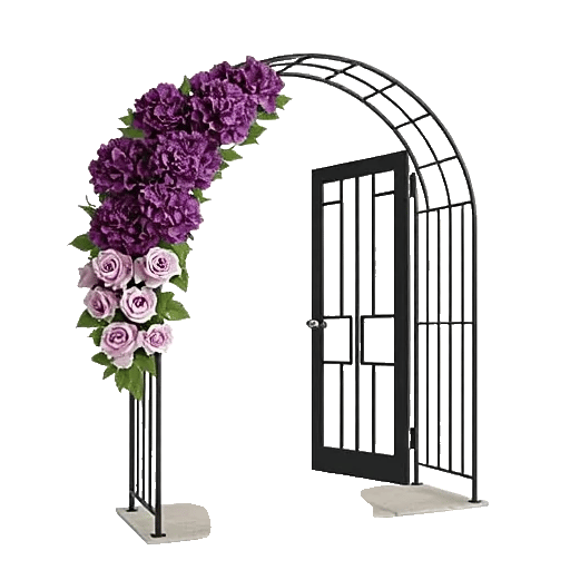 Ivory Blossom Radiance