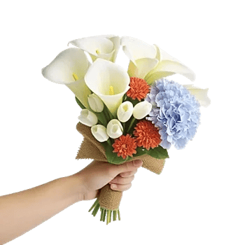 Elegant Calla Lilies