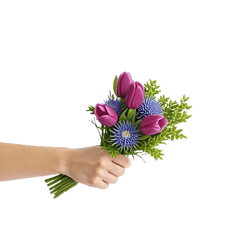 Velvet Tulip Display