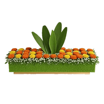 Petal Radiance Bliss