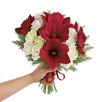 Crimson Blossom Harmony