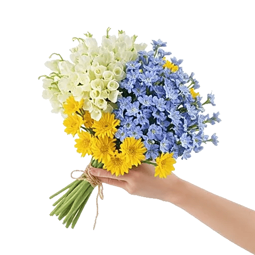 Blossom Harmony Display