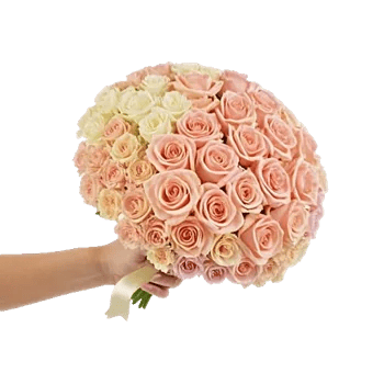 Peony Petal Harmony