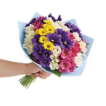 Blossom Petal Serenity