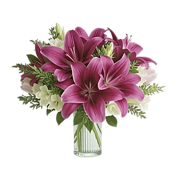 Graceful Lily Display