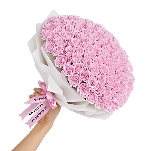 Pastel Pink Roses