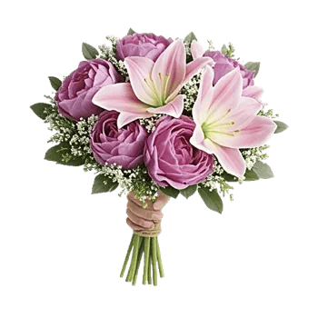 Peony Petal Harmony
