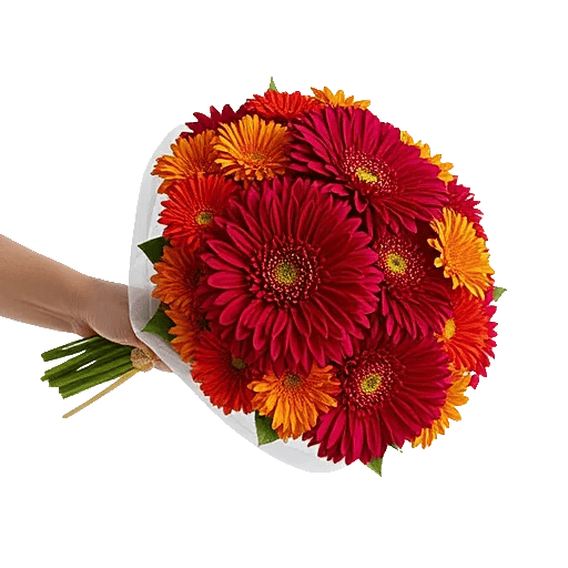 Crimson Blossom Harmony