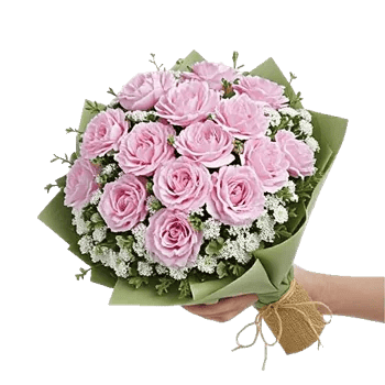 Pastel Pink Roses