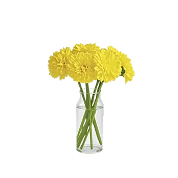 Radiant Bloom Cascade