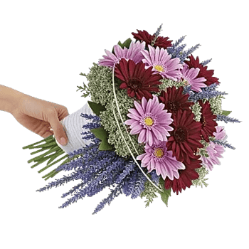 Delicate Petal Cascade