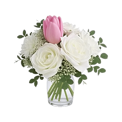 Velvet Tulip Display