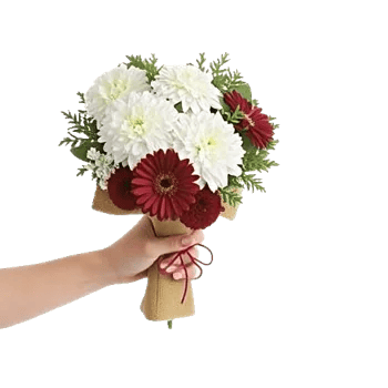 Petal Harmony Bliss